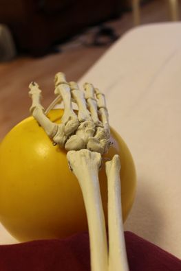 Osteopathin & Heilpraktikerin Anna-C. Barbé-Rissmann in Hamburg private Physiotherapie 02